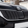 Зимний экран верхний, (текстурный пластик) для Skoda Kodiaq (2016-2021) купить недорого с доставкой в Орел